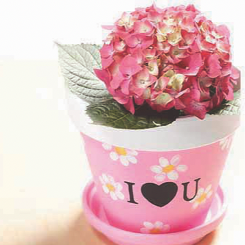 HOMEMADE MOTHER’S DAY POT